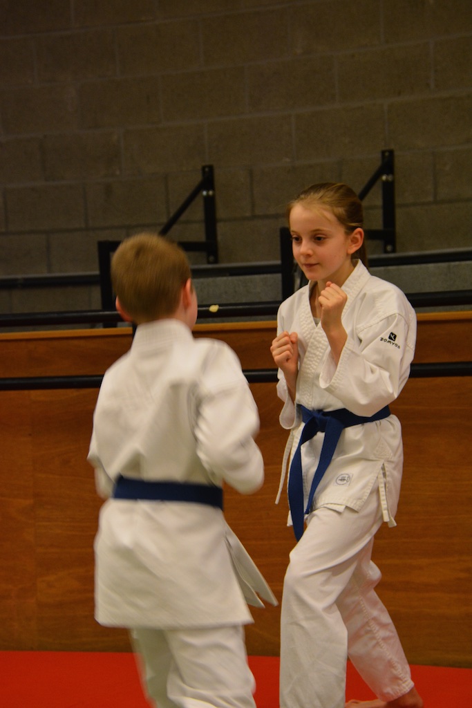 stage Jérémy 01.2015