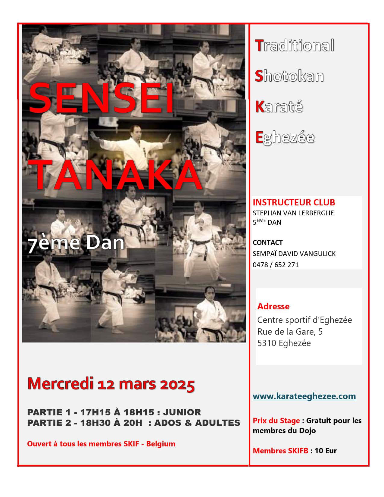 Stage sensei tanaka 12 mars 2015 1